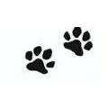 Paws-Itively Affordable Pet Care