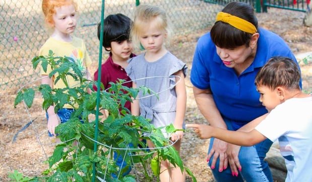 Images Country Home Learning Center at Leon Springs