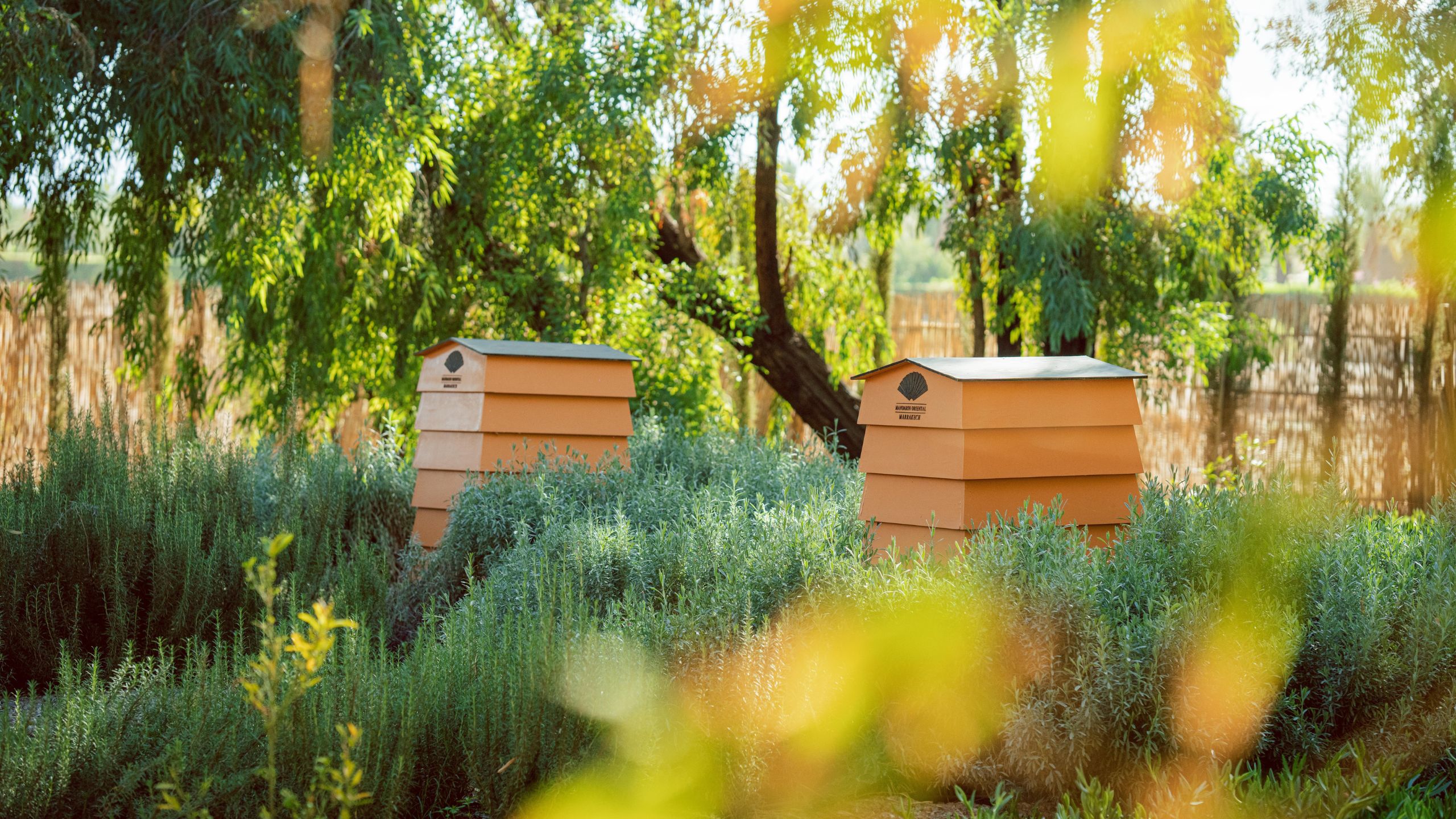 Mandarin Oriental, Marrakech