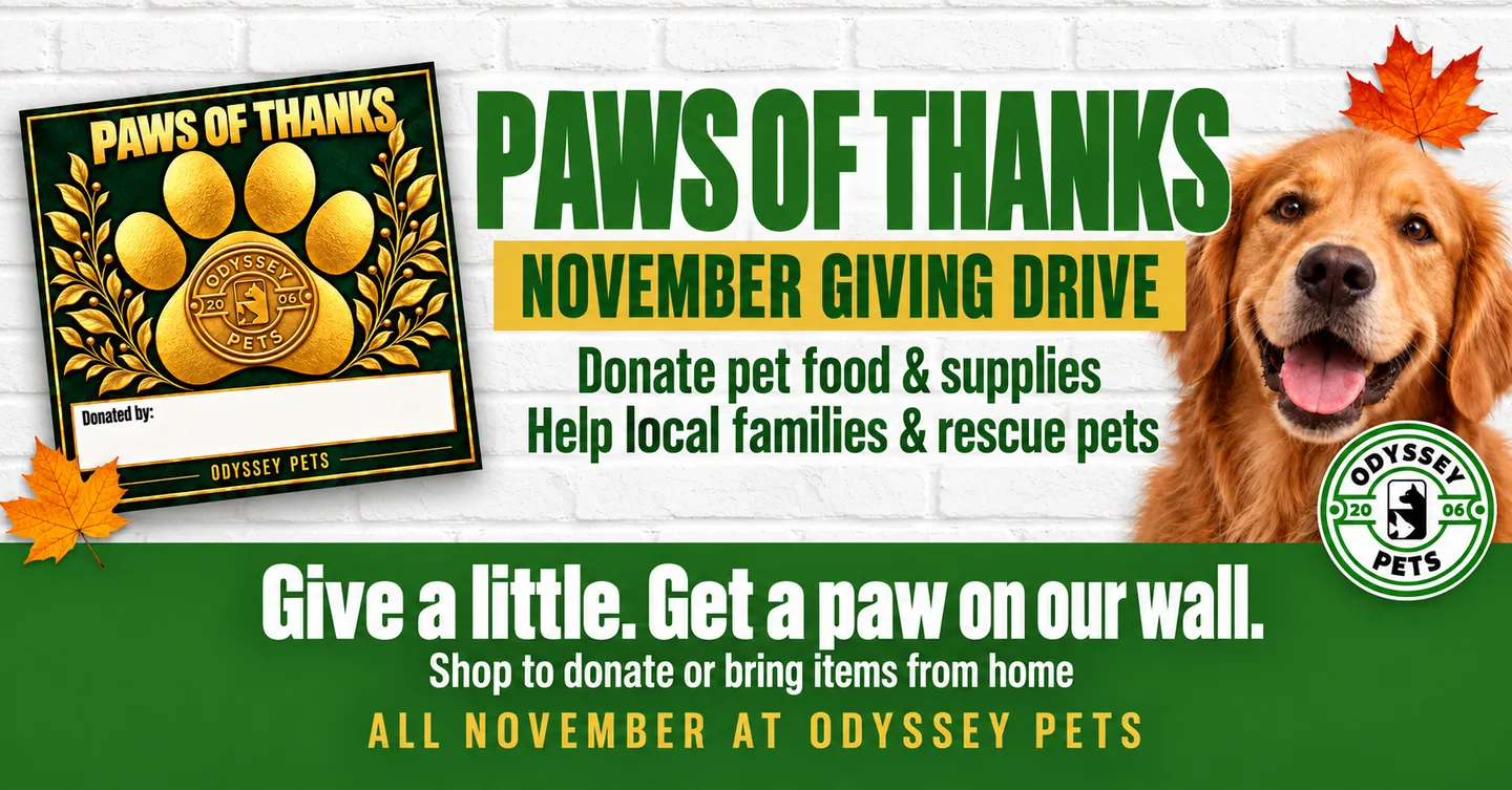 Image of Local Pet Event Paws of Thanks November Giving Drive Nearby