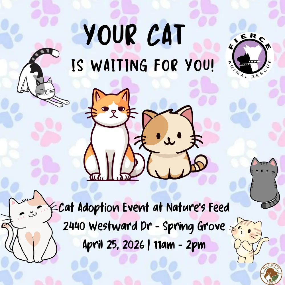 Image of Local Pet Event Cat Adoption Event Nearby