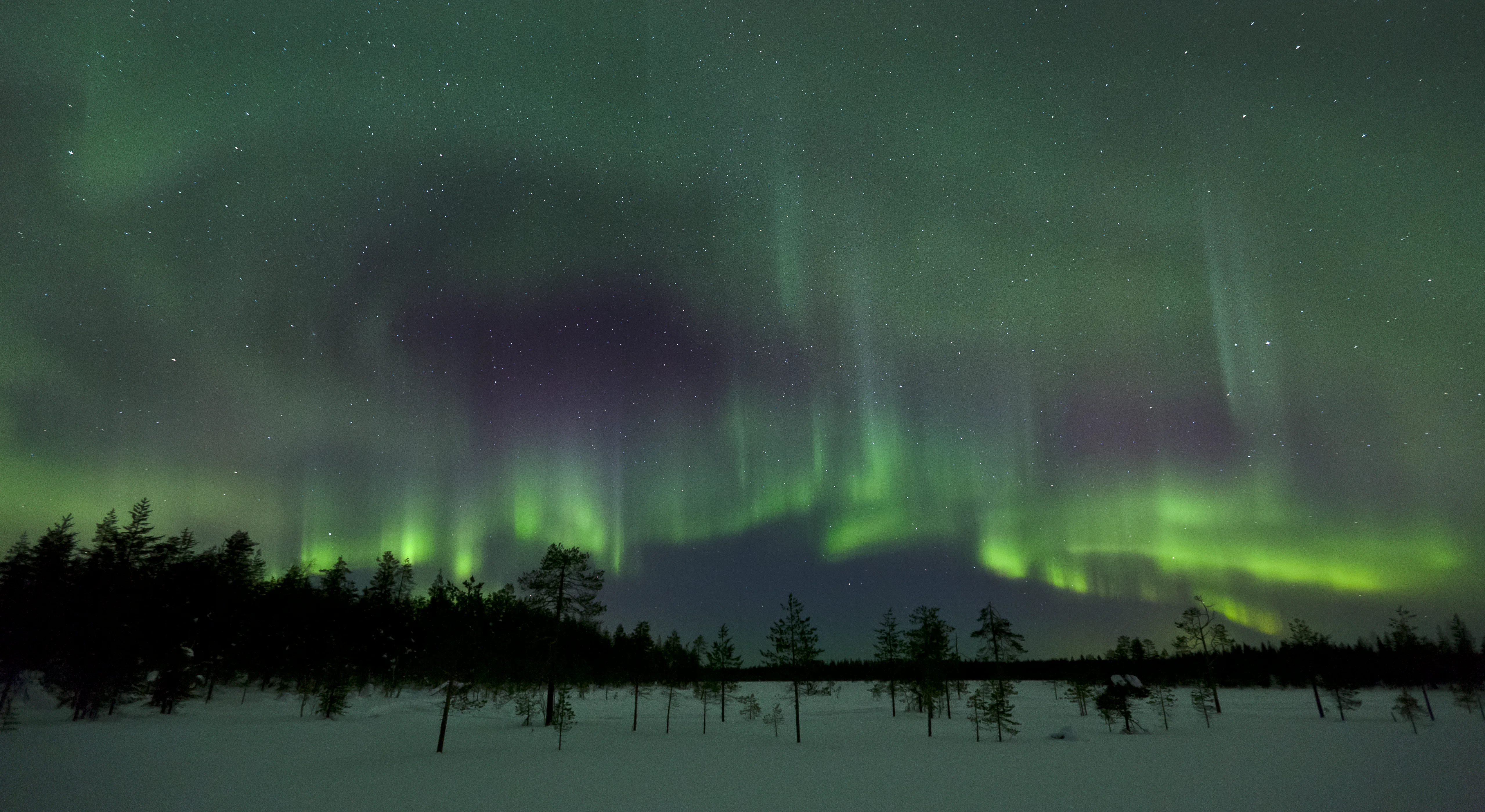 Images Hotelli Metsähirvas