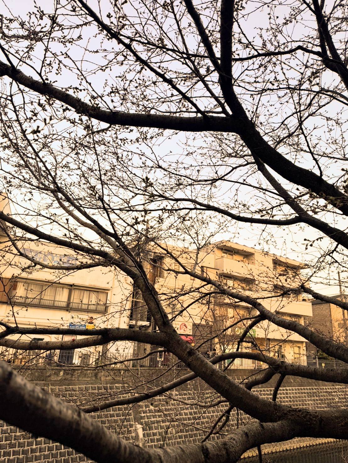 Images 横浜の大衆焼肉 弘明寺駅前店