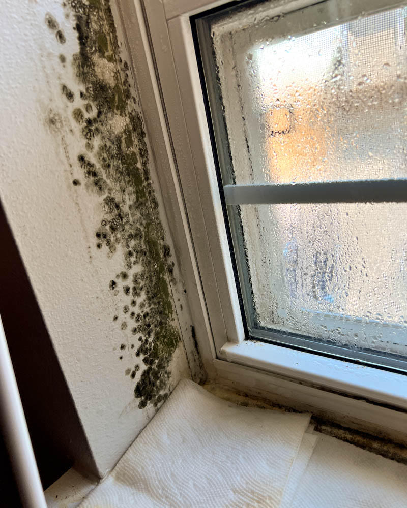 Mold can become visible on walls and fixtures, or under insulation. We’ll thoroughly inspect the room for mold and come up with a mold remediation plan that protects your home and family.