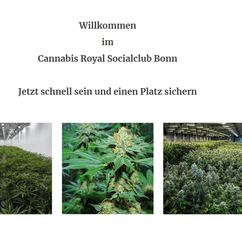 Cannabis Royal Social Club, Moltkestraße 24 in Bonn