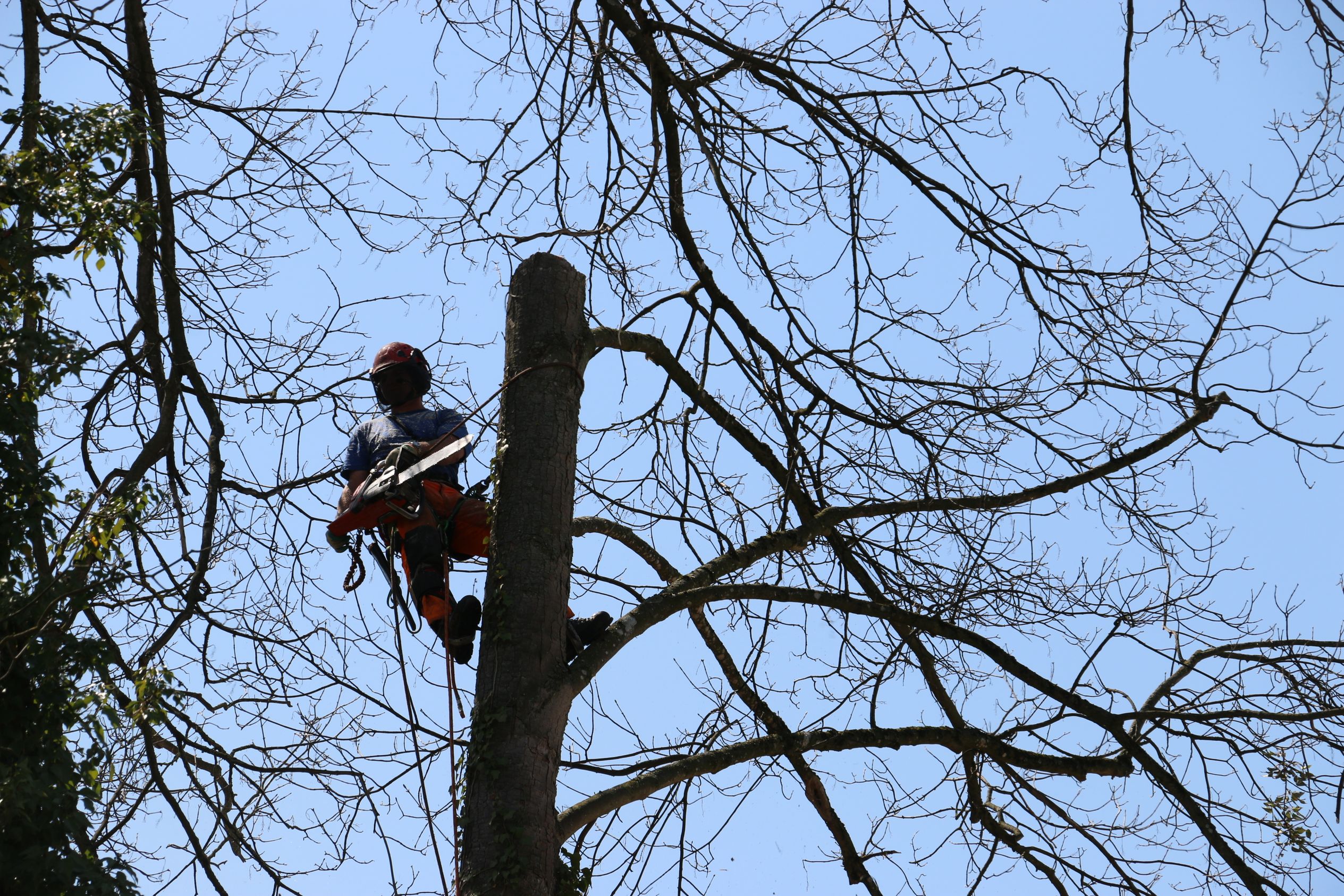 Bilder Hans Osterwalder AG