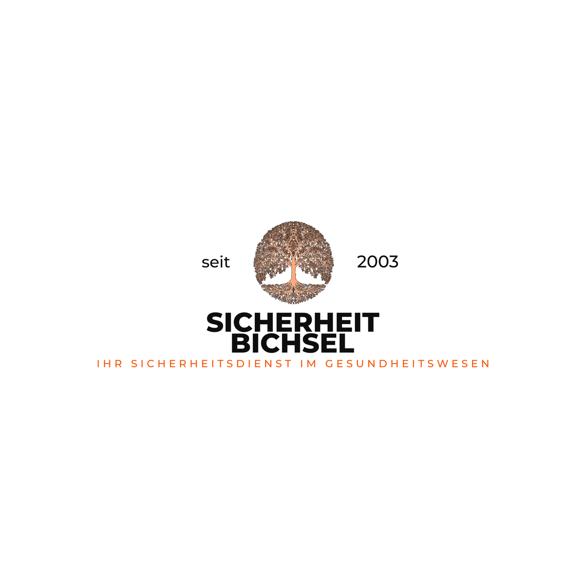 Sicherheit Bichsel GmbH Logo