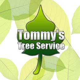 Tommy Frazier Tree Service Logo