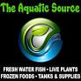 The Aquatic Source