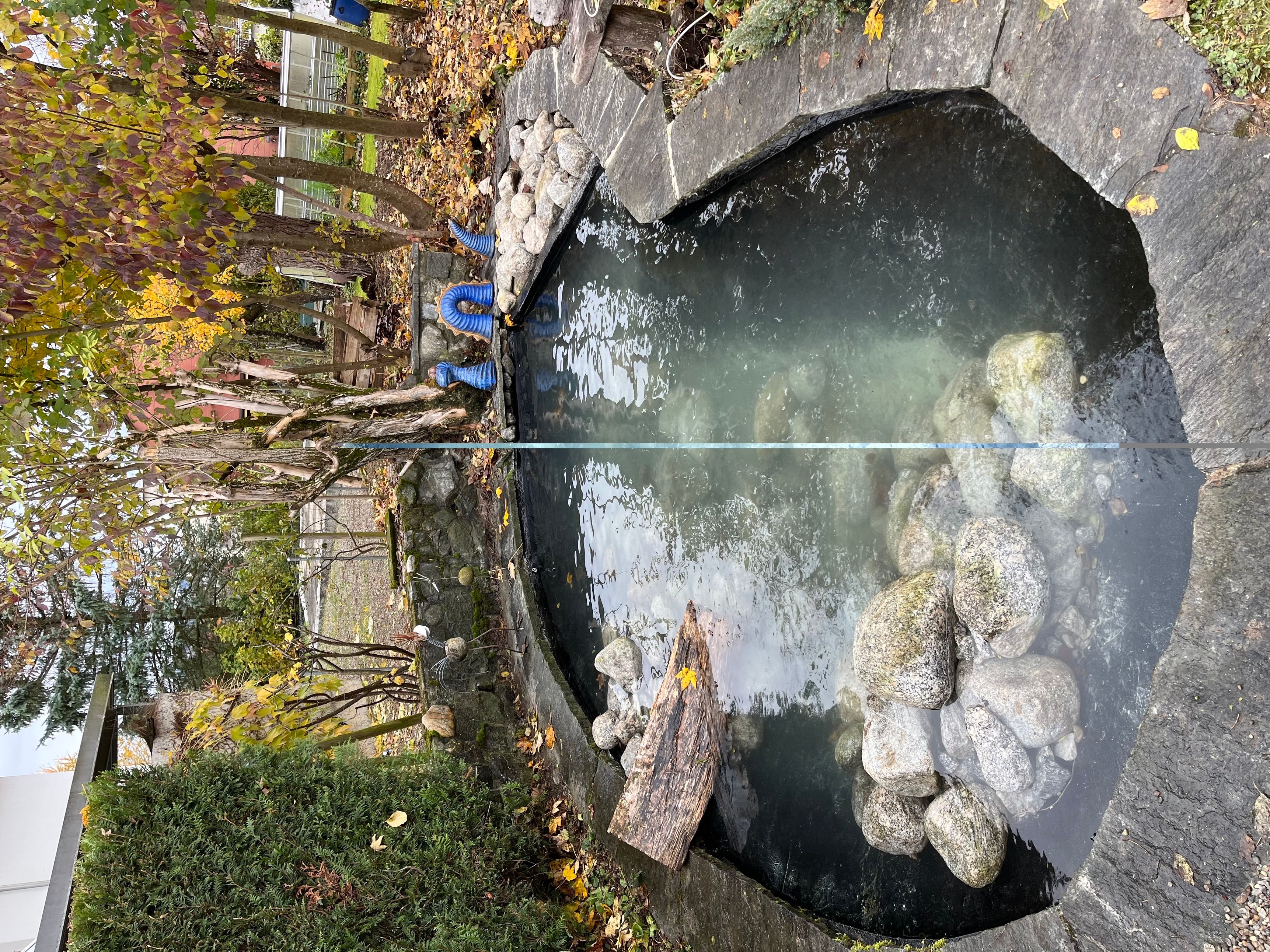 Bilder LUTZ Gartendesign