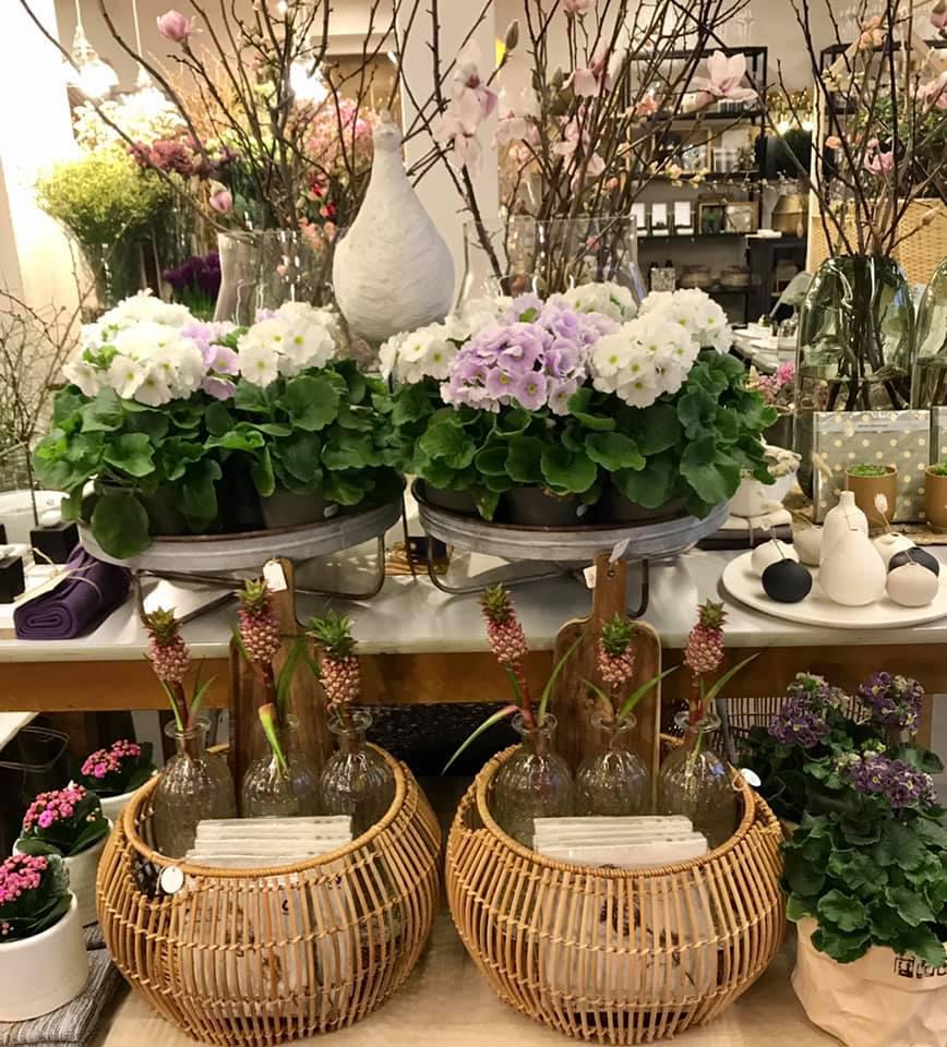 bluamaundmeh, Ketschelenstraße 1 in Feldkirch