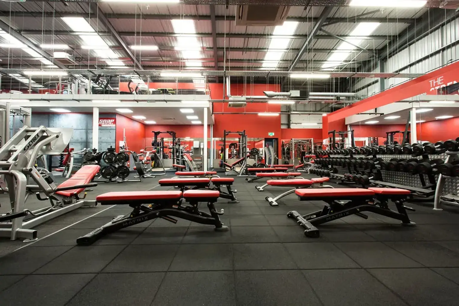 Free Weights Area