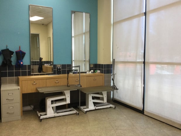 Images Petco Grooming