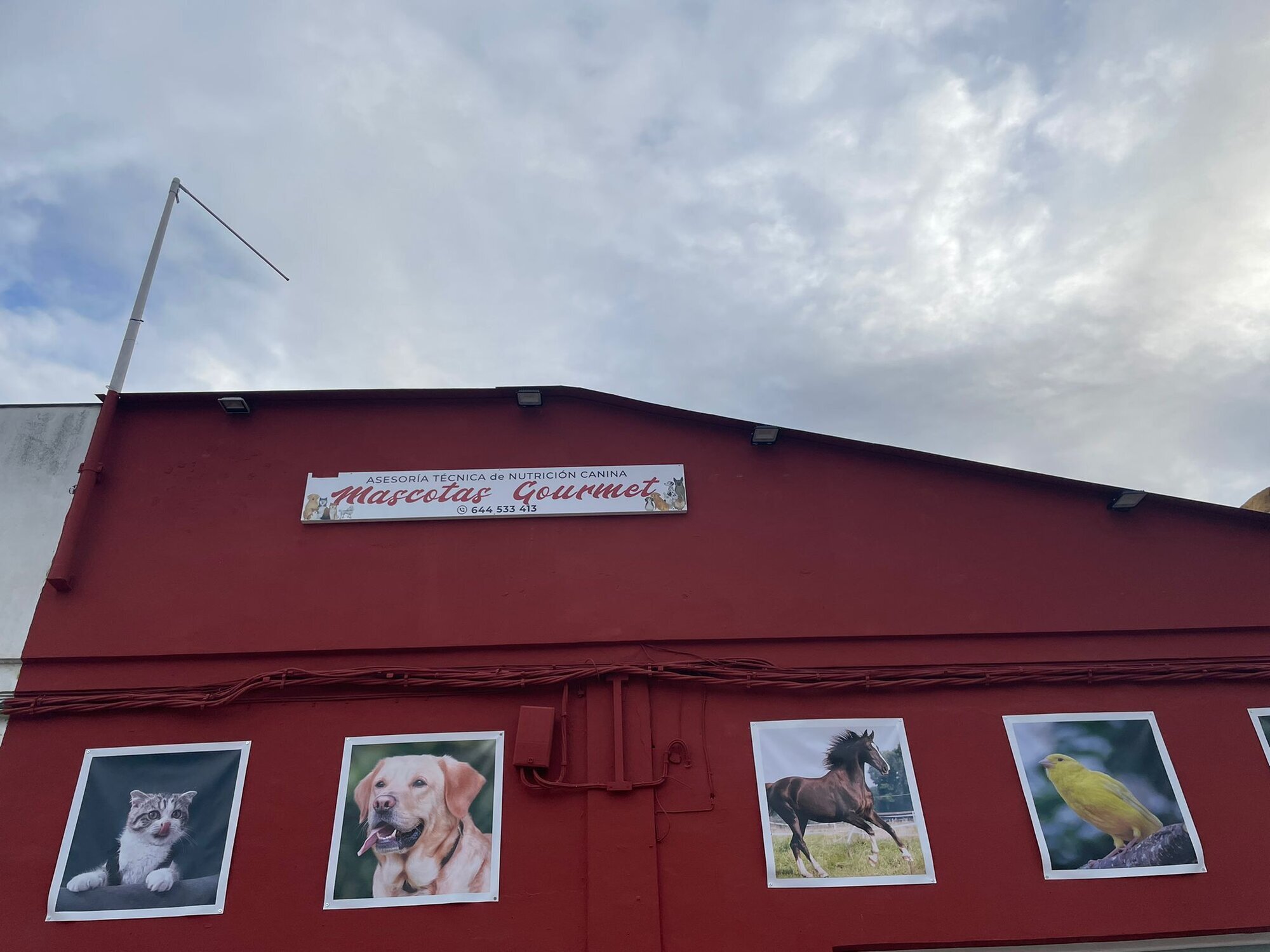 Images Mascotas gourmet