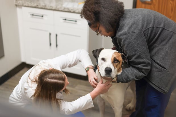Images VCA Stafford Oaks Animal Hospital