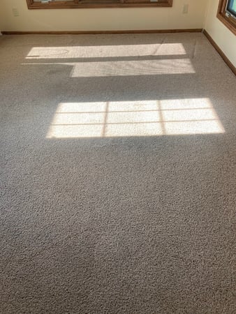 Images White River Chem-Dry