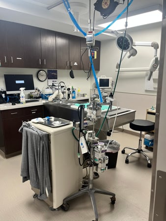 Images VCA Castle Shannon Animal Hospital