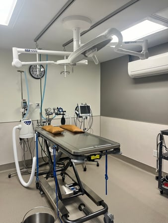 Images VCA Castle Shannon Animal Hospital