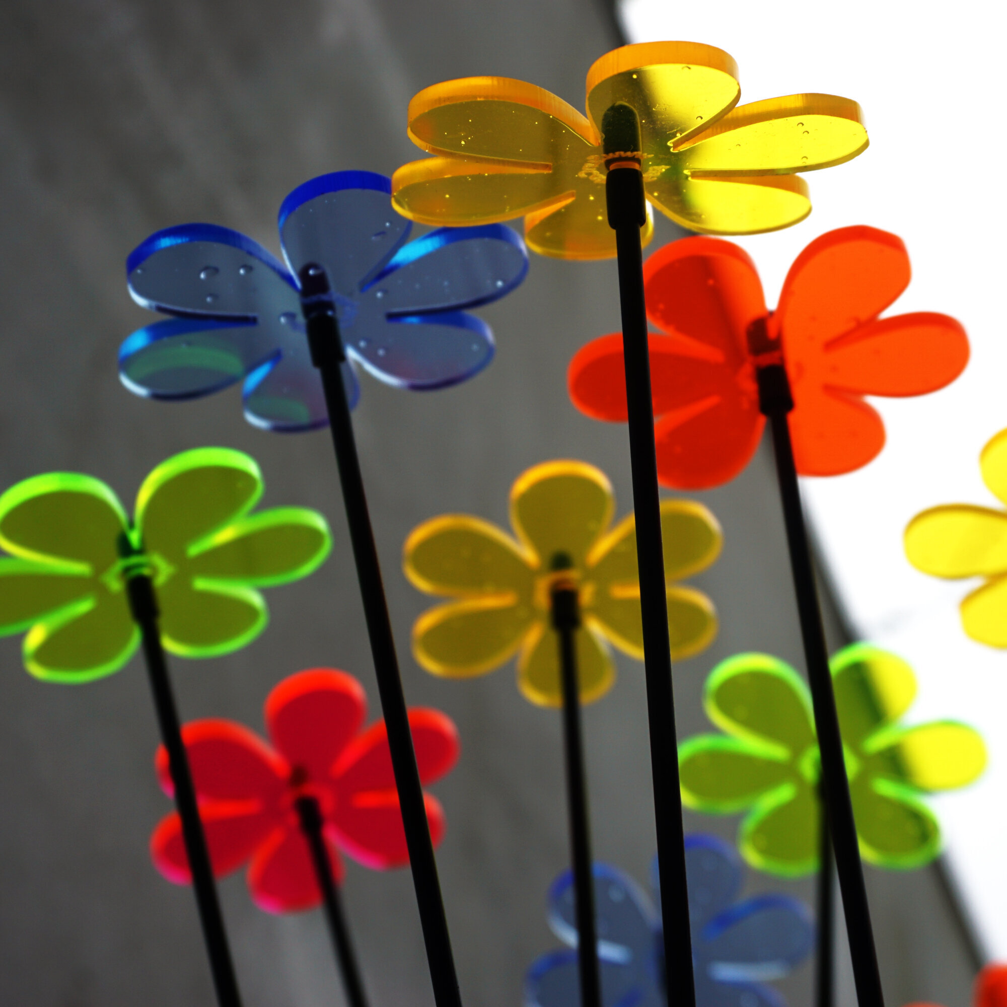 Images SunCatcher Ltd.