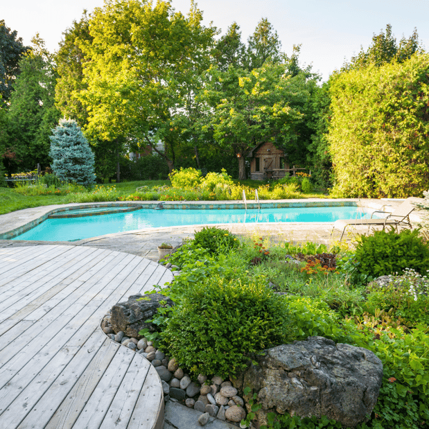 Images Lopez Tree Services and Landscaping
