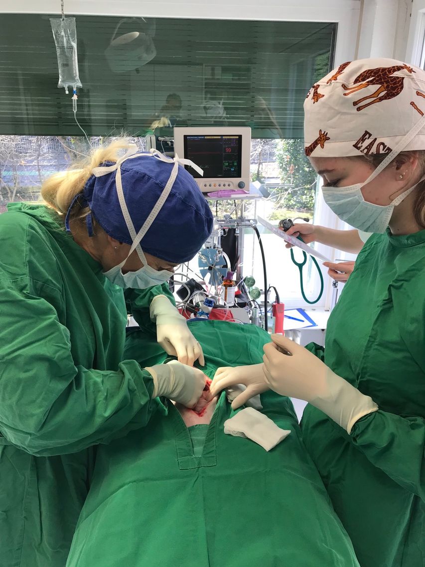 Bilder Kleintierklinik am See