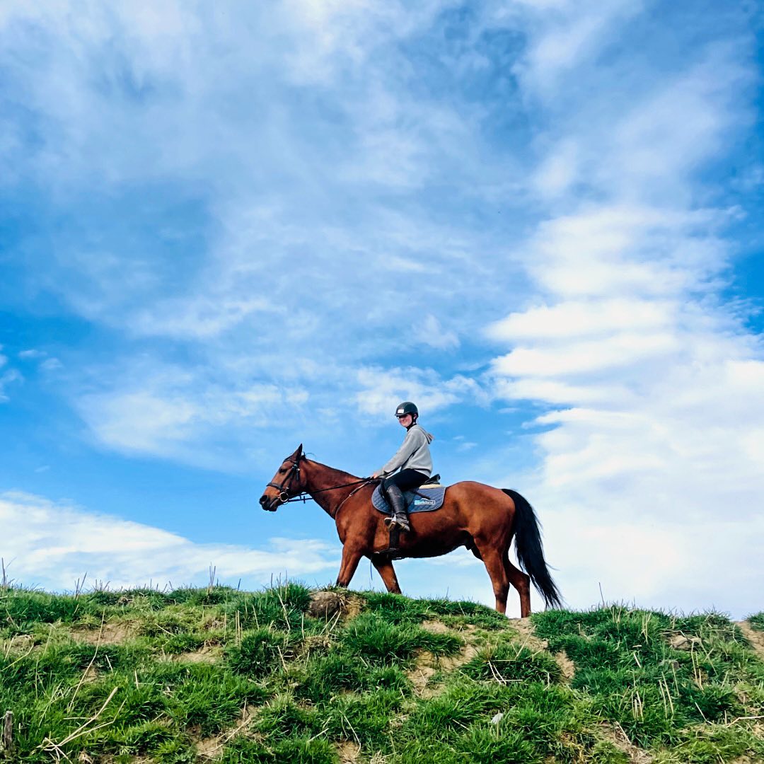 Images Gooromon Park Riding Centre