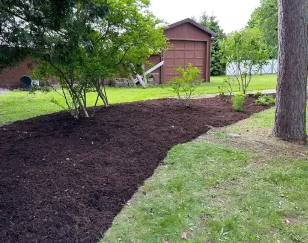 Professional dark wood chip mulch installation and curved garden bed renovation in Seneca Falls, NY. This deep, rich mulch layer provides natural weed suppression and clean, crisp lines along the property border, expertly completed by JB Lawncare Services.