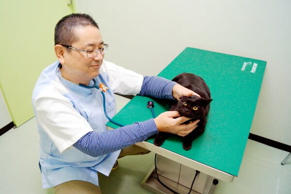 Images ヨネダ動物病院
