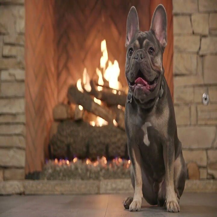 Images Fireplace & Grill Factory Outlet