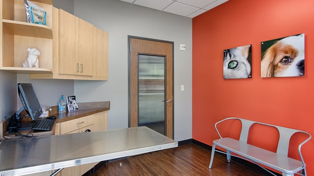 Images CityVet | Frisco