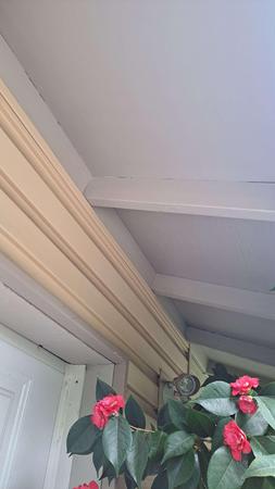 Images Semper Valeo Pest Management