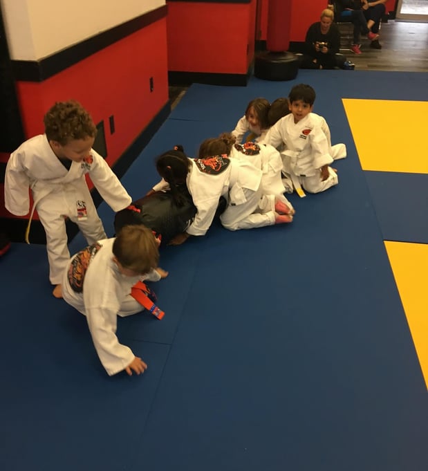 Images SDSS Martial Arts of Newton