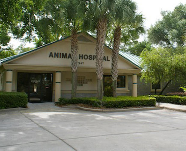 Images VCA Sheeler Road Animal Hospital