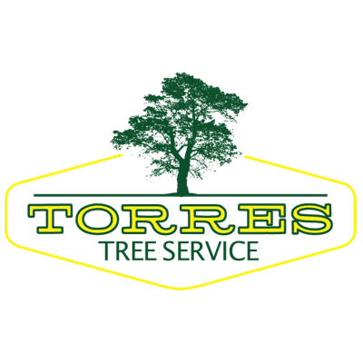 Torres Tree Service