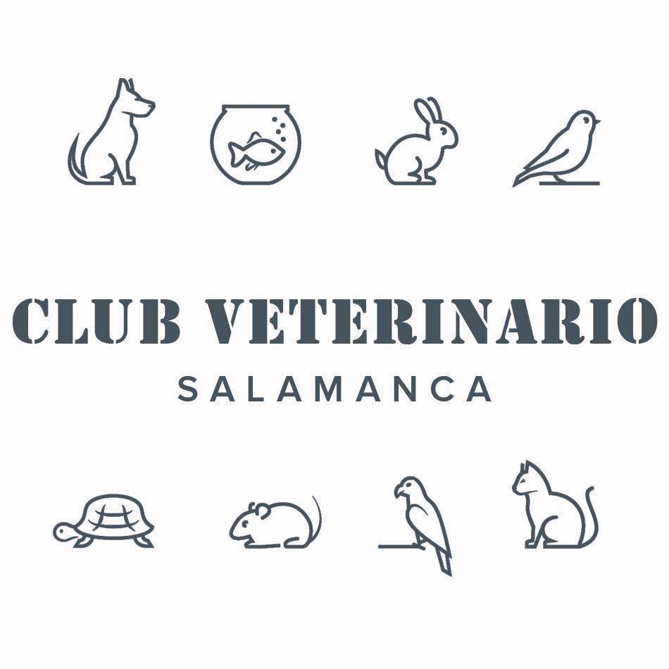 CLUB VETERINARIO SALAMANCA Logo