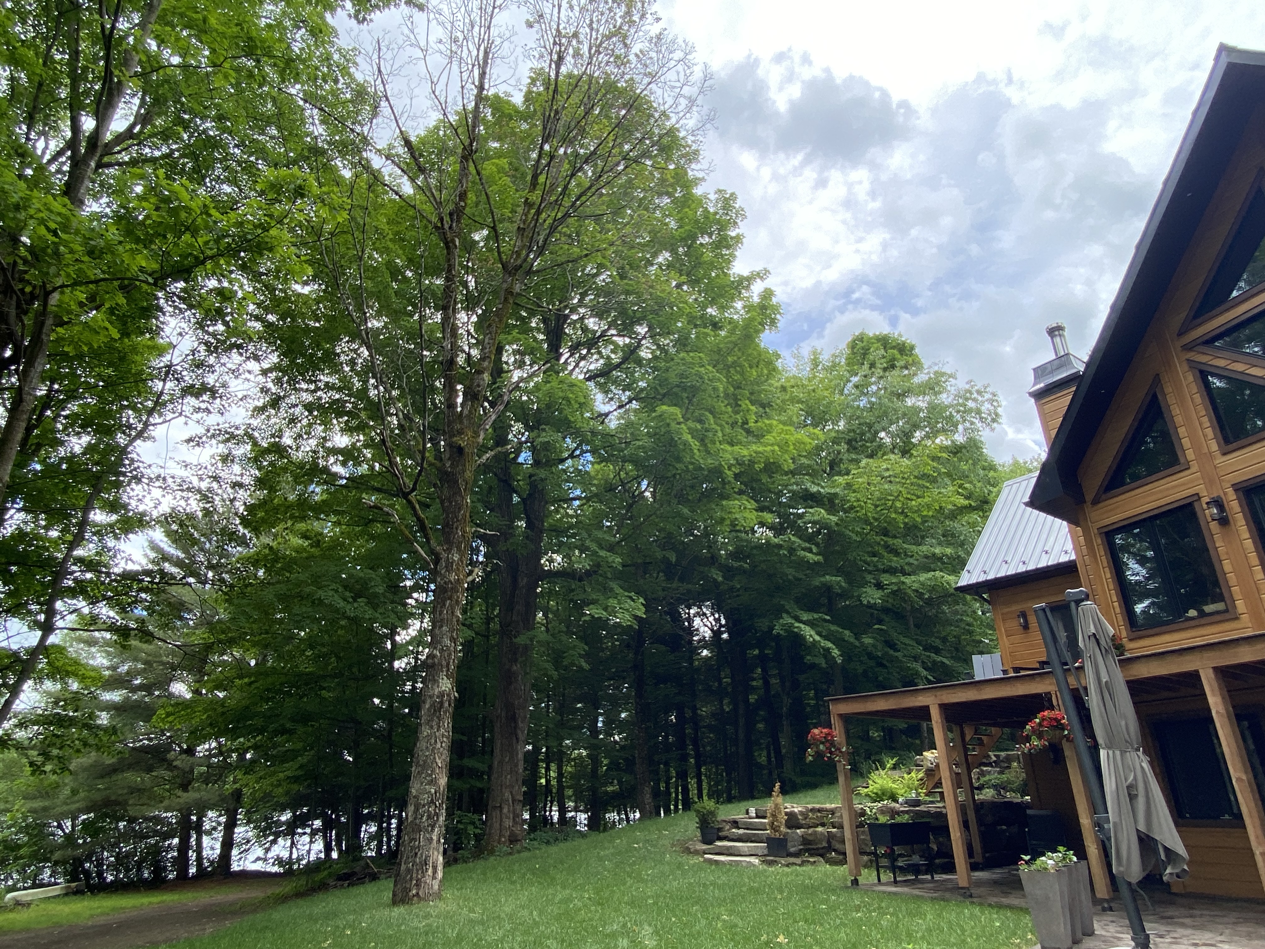 Images Altitude Abattage - Services d'arbres, Élagage, Émondage Eastman