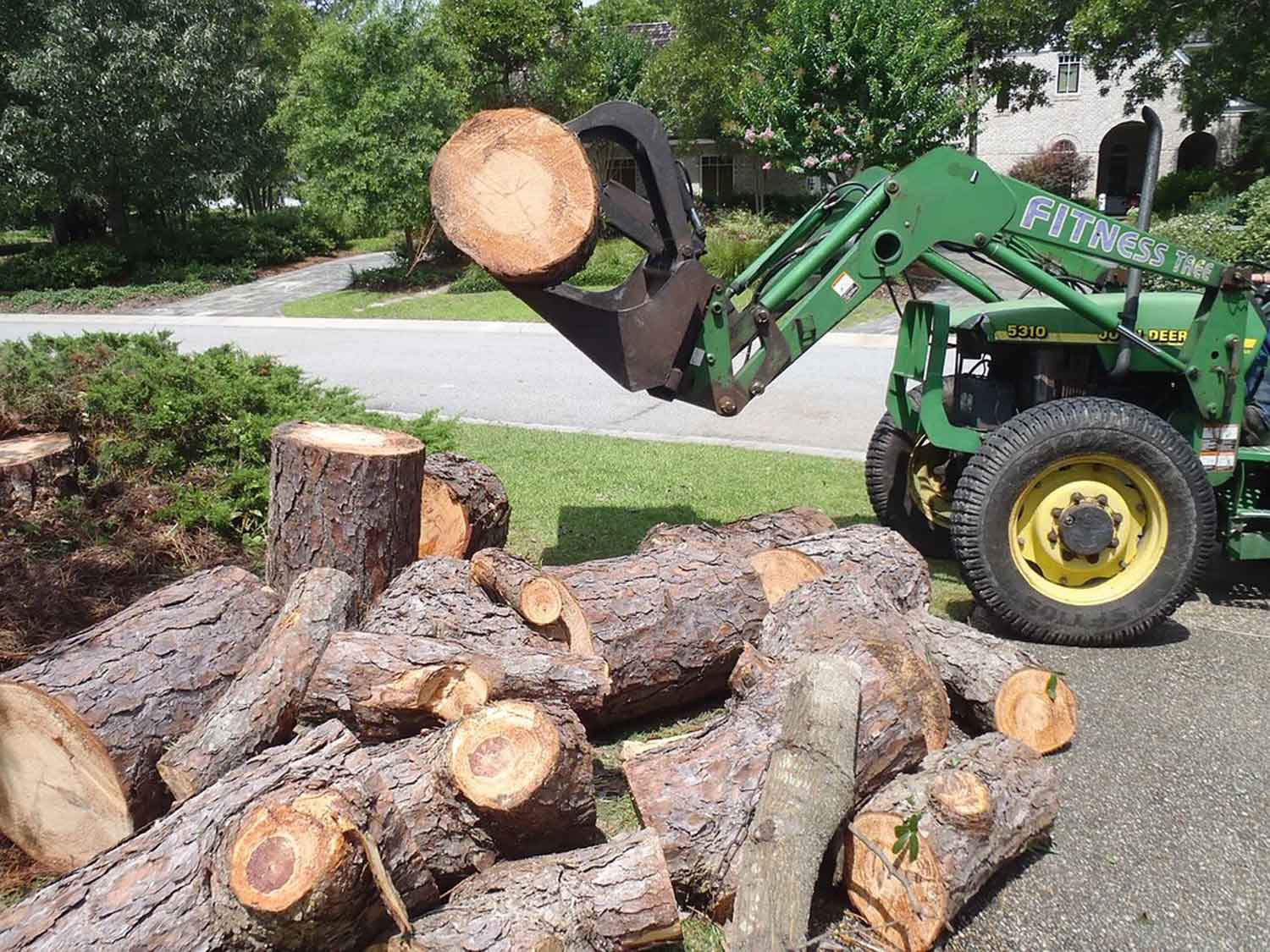 Our team has fulfilled a number of major tree projects in Wilmington, and we can complete any size j Fitness Tree Wilmington (910)343-8016