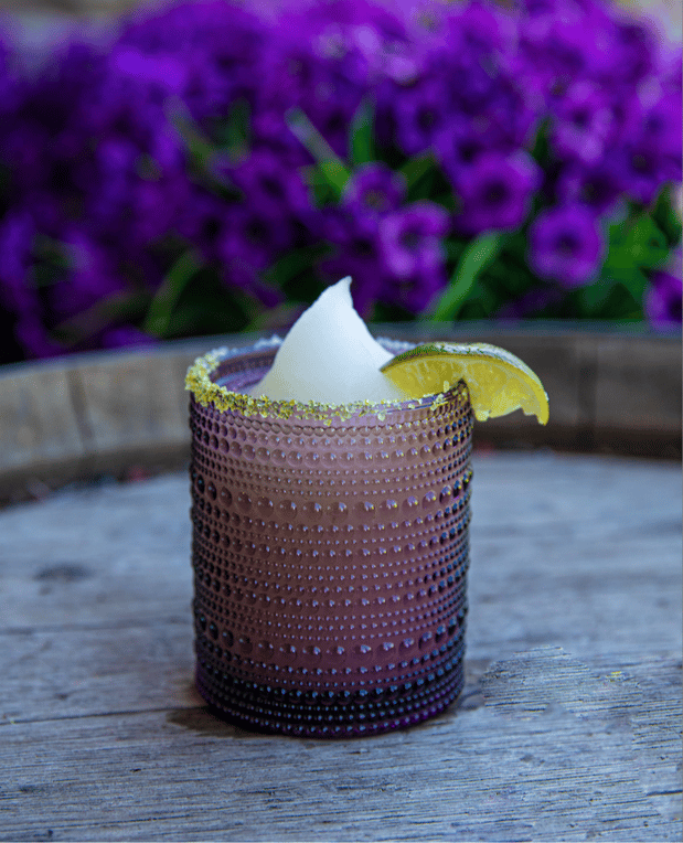 Images Salt and Lime Modern Mexican Grill