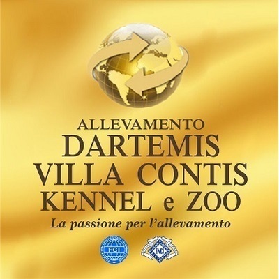 Allevamento Dartemis Villa Contis Logo
