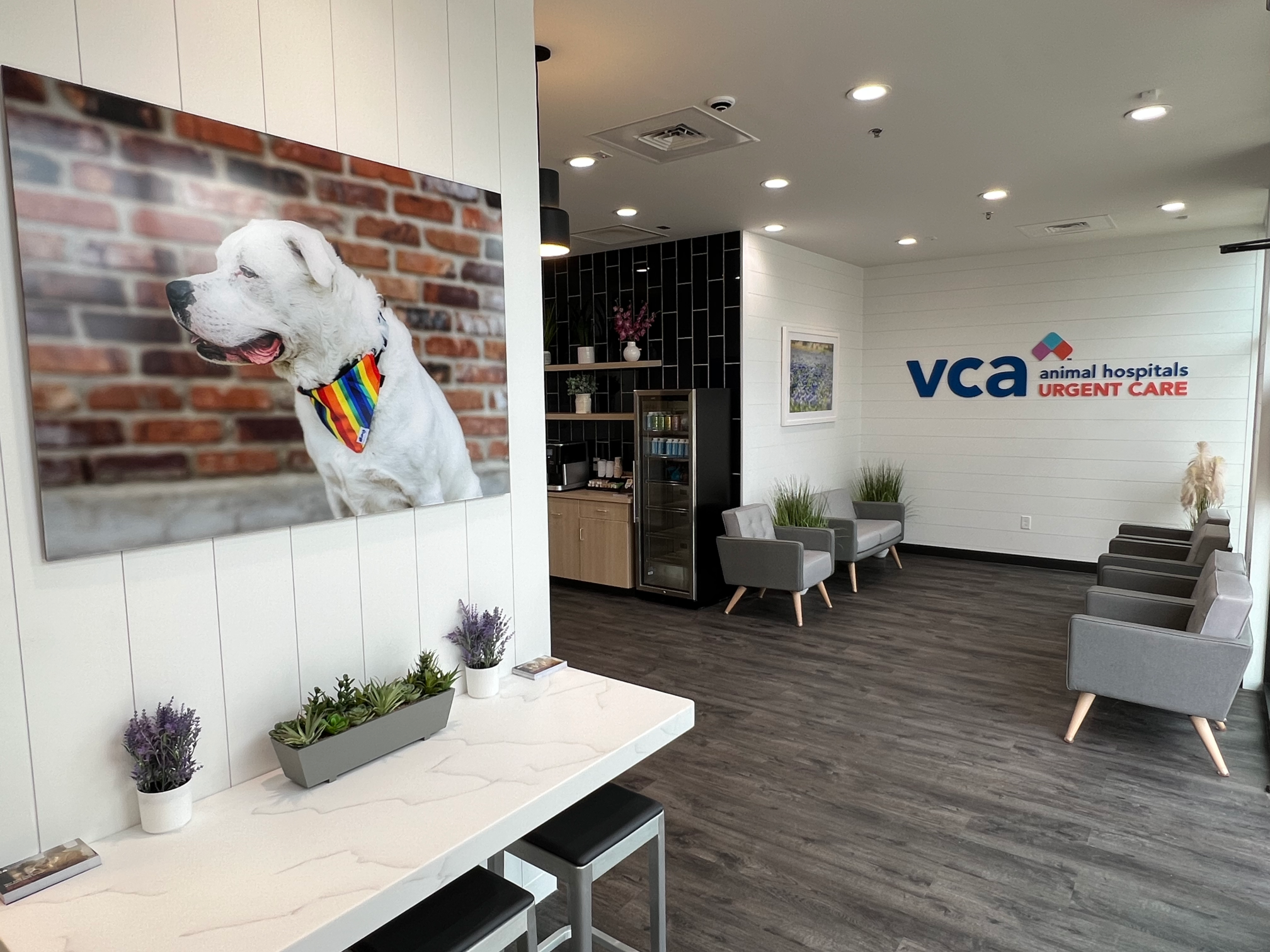 Image 4 | VCA Animal Hospitals Urgent Care - Cedar Park