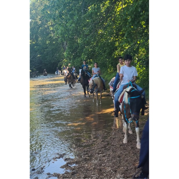 Images Riverside Riding Stables