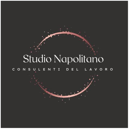 Studio Napolitano (Consulenti del Lavoro) Logo