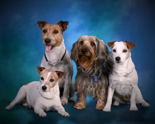 Images Mutterly Love