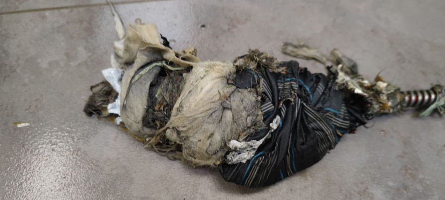 Abfluss Wagner, Ernst-Abbe-Straße 3 in Ulm