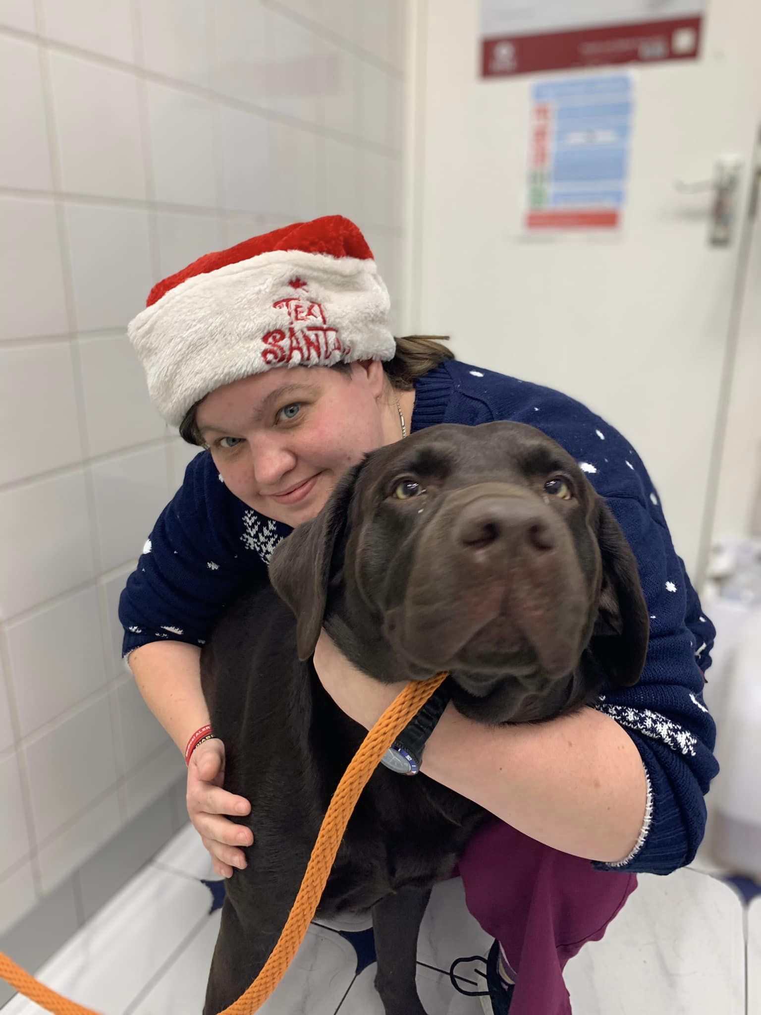 Images Streatham Hill Veterinary Surgery