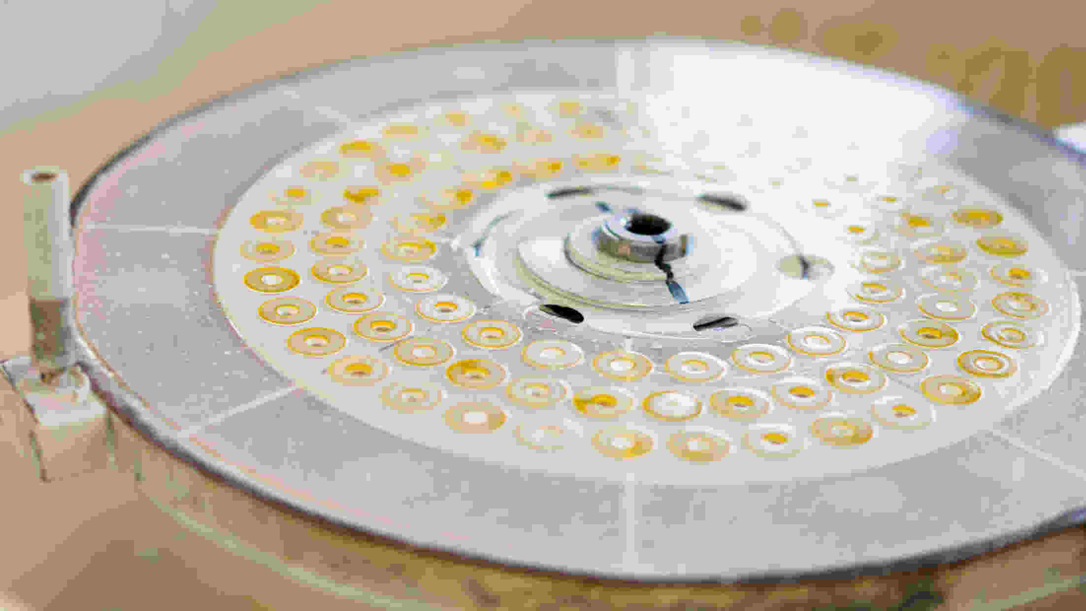 Optik Krombach Freiburg GmbH, Mitscherlichstrasse 4 in Freiburg