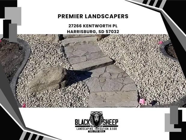 Images Black Sheep Landscape