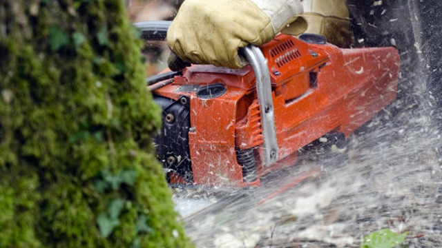 Images Hellströms Skog AB