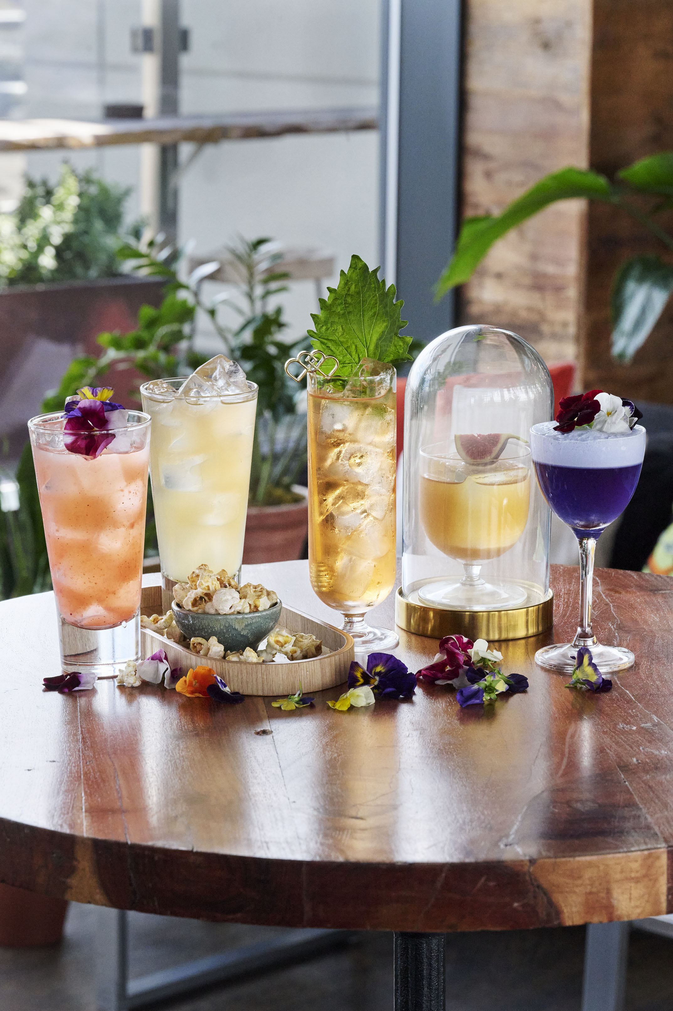Cocktails