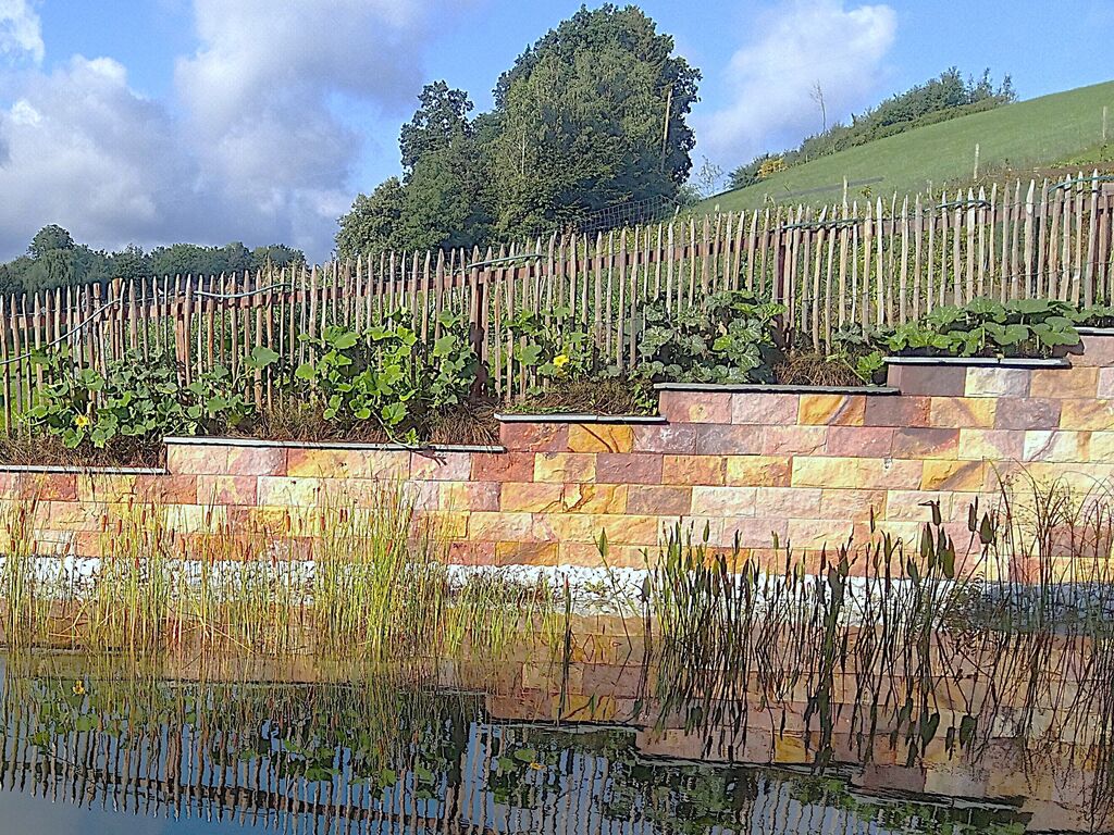 Bild 9 von GWK Garten Wohnraum Knapp